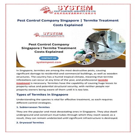 Pest Control Company Singapore | Termite Treatment Costs Explained
