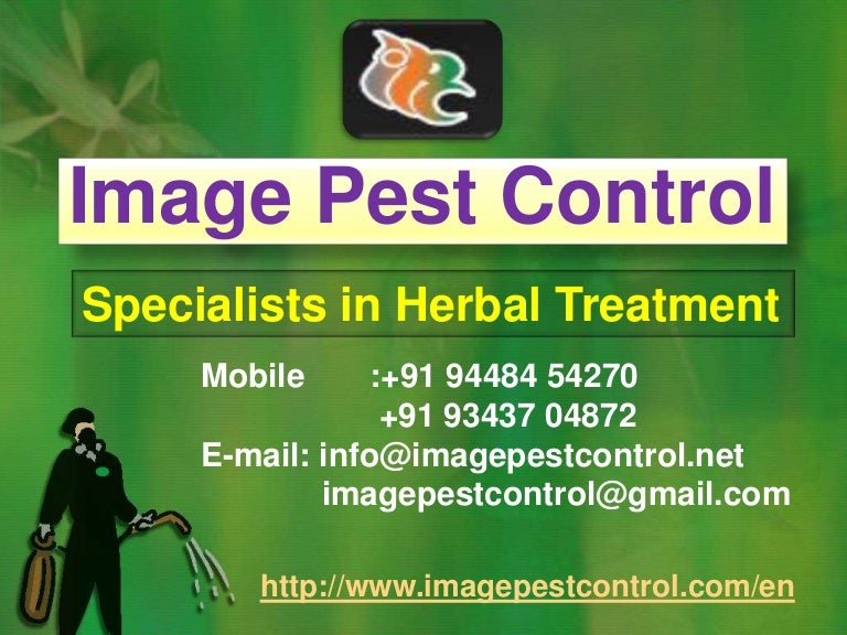 Pest control consulting and exterminator in Bangalore