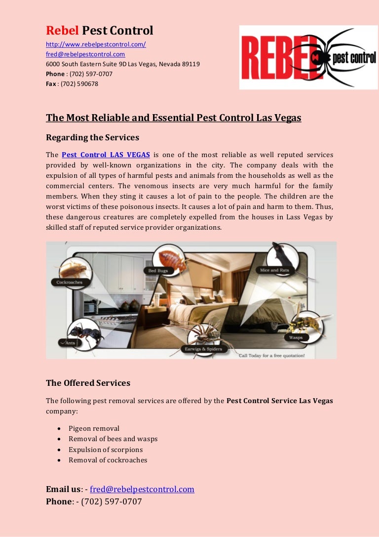 Elektrisch Entscheidung Mitschwingen pest control las vegas Chinakohl