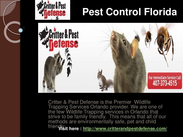 Pest Control Orlando