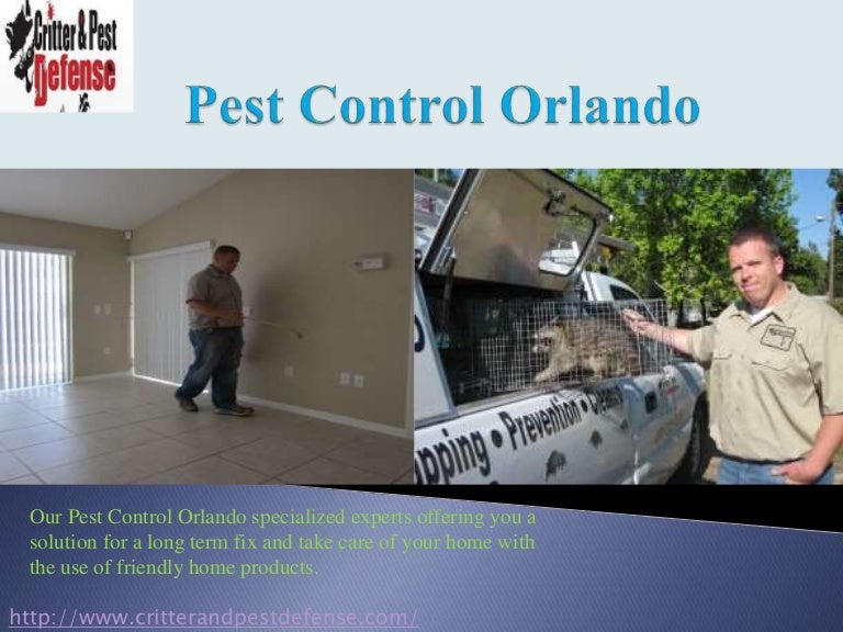 Pest control orlando