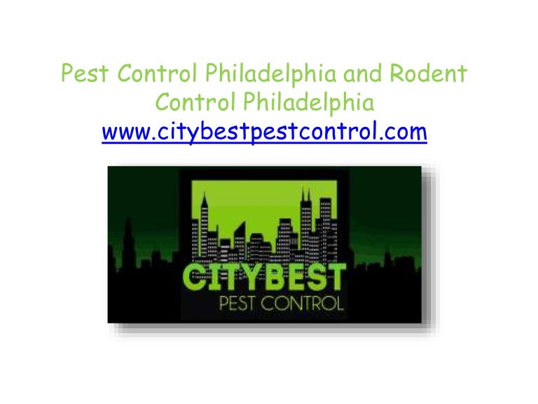 Pest Control Philadelphia and Rodent Control Philadelphia www.citybe…