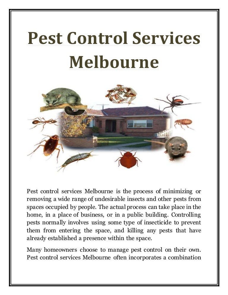 Pest control services melbourne