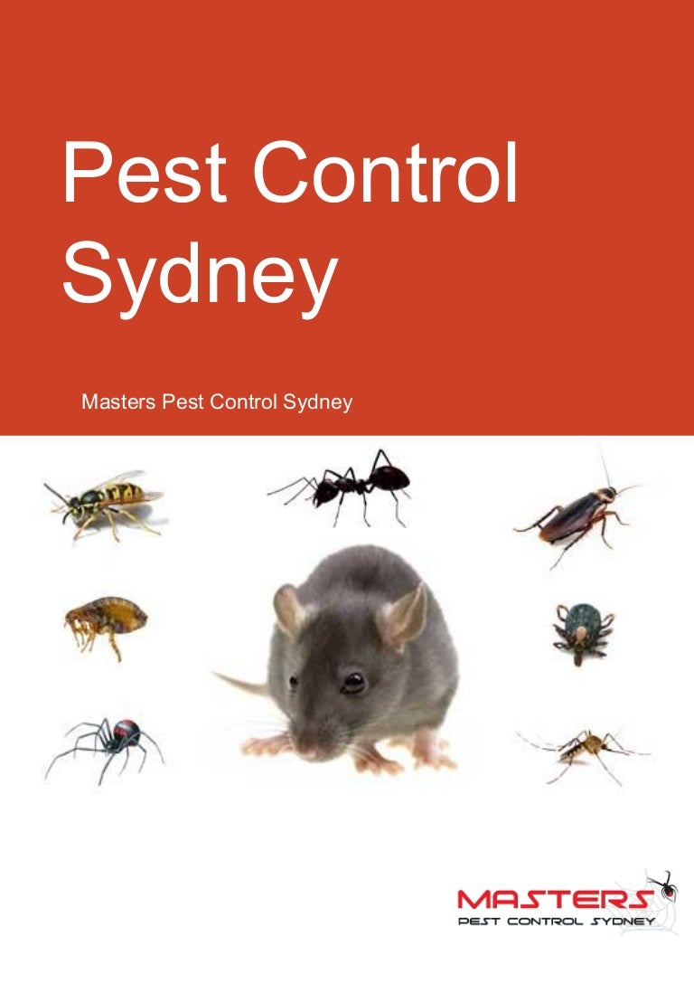 Pest control sydney