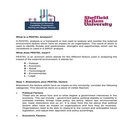 PESTEL-ANALYSIS.pdf pestel analysis for psm