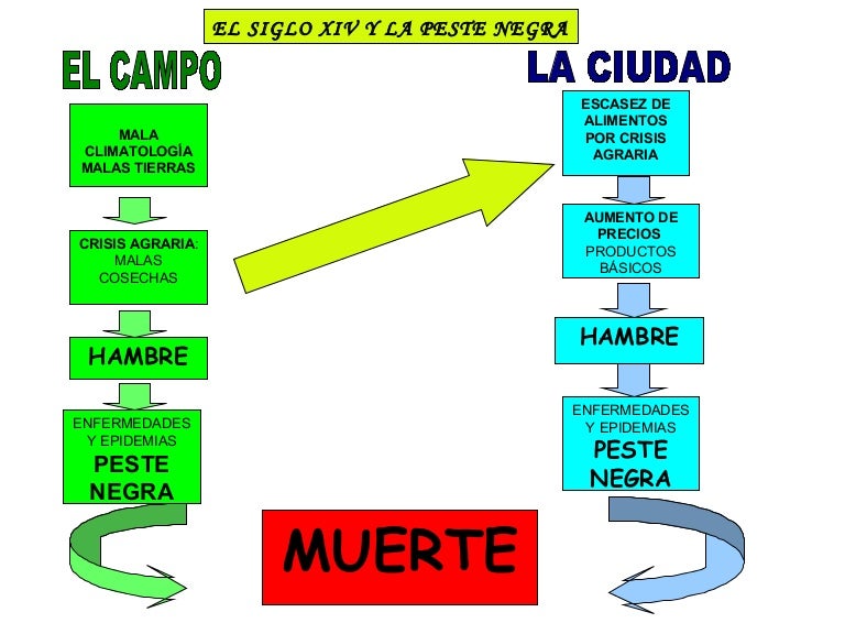 Esquemas Peste negra