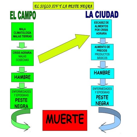 Esquemas Peste negra