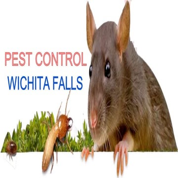 Pest Exterminator Texoma