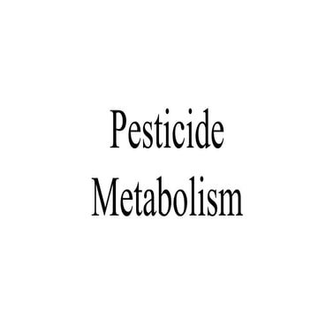 Insecticide metabolism: Phases and examples