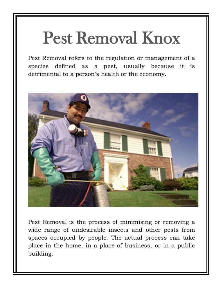 Pest Removal Knox