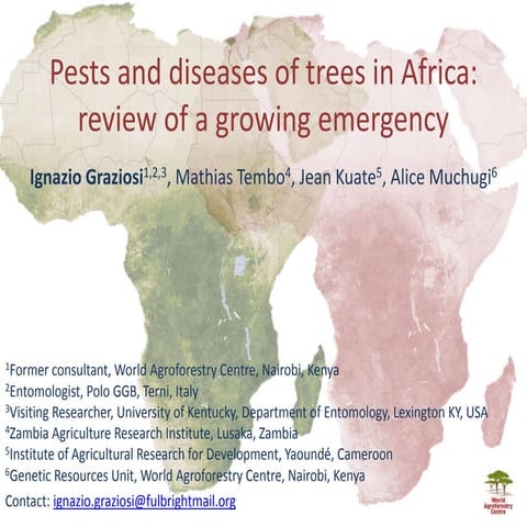 Pests and diseases of trees in Africa: review of a growing emergency