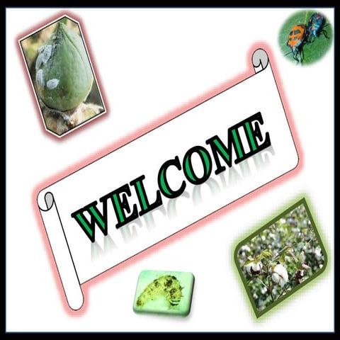 Pests of cotton and their management