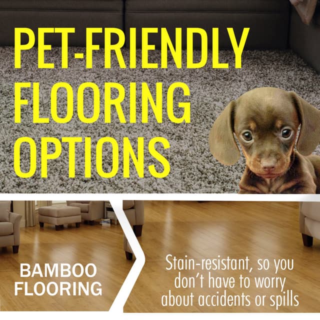 Pet friendly flooring options