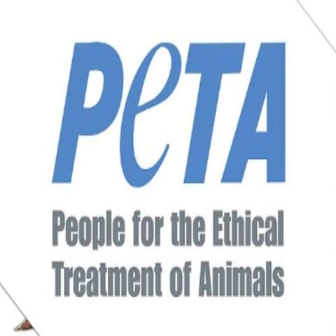 Peta