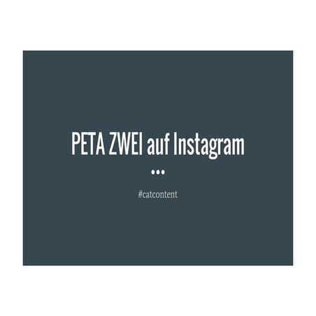 Instagram & Snapchat - Potenziale für die Kommunikation von Non-Profit-Organi...