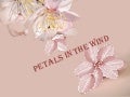 Petals in the wind