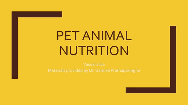 Pet animal nutrition