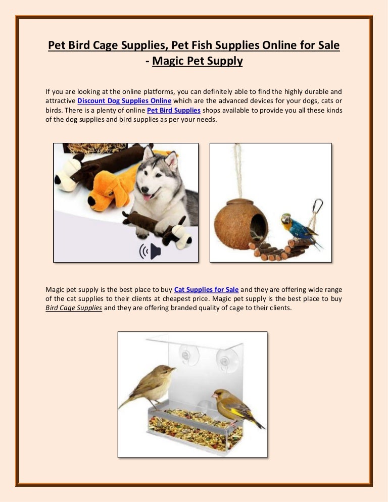 fish supplies online