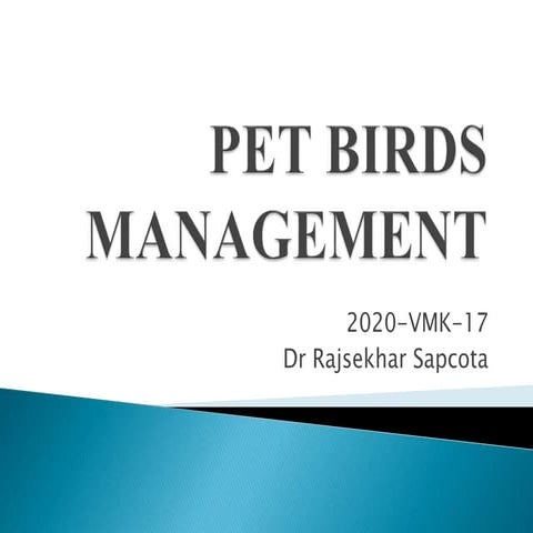 Pet birds management