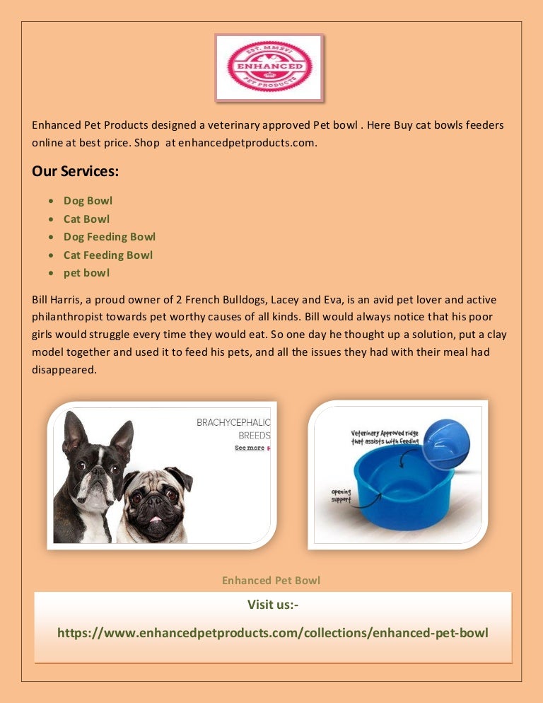 brachycephalic dog bowls