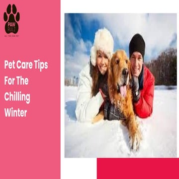 Baby, It's Cold Outside: Winter Tips for Pet Owners | PPTX