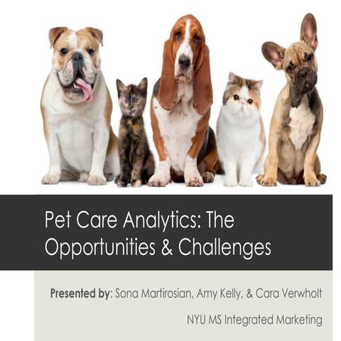 Using Web Analytics to Find Opportunities for the Pet Care Industry 