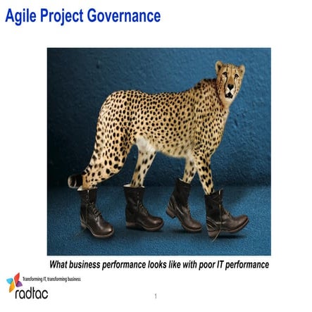 Pete Measey, Agile project governance