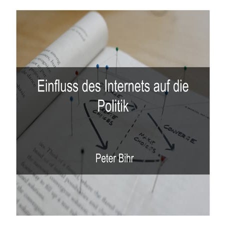 Internet Und Politik