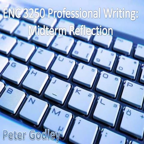 Peter Godley midterm reflection