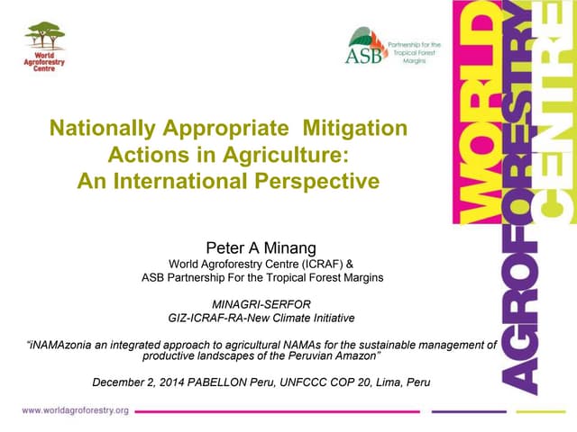 Nationally Appropriate  Mitigation Actions in Agriculture: An International Perspective