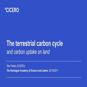 The terrestrial carbon cycle