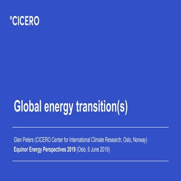 Global Energy Transition(s)