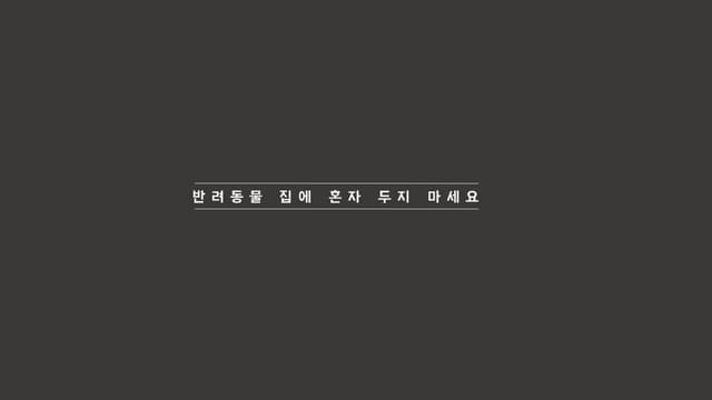 Pet fairy 펫페어리 사업 계획서