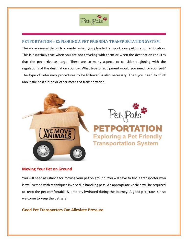 giant paw patrol ride on plush chase