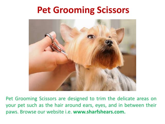 petgroomingscissors-191029091330-thumbnail.jpg