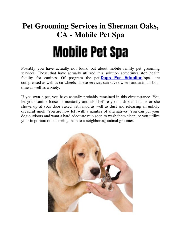 pet spa on wheels