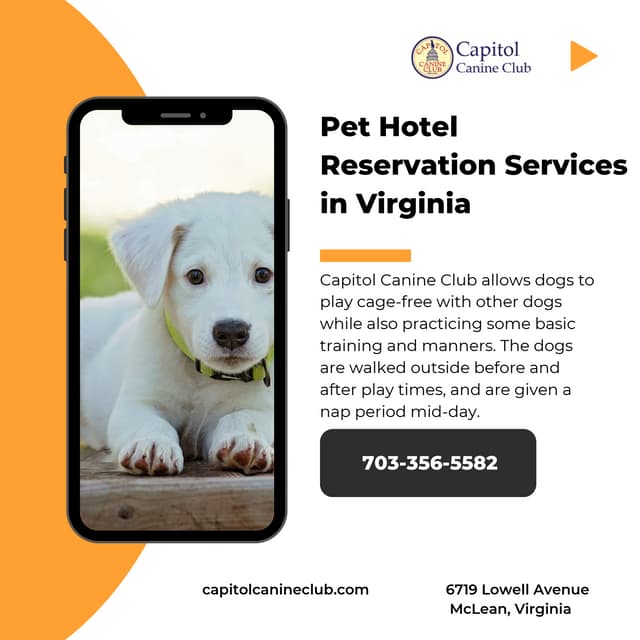 Pet Hotel Reservation Services in Virginia PDF