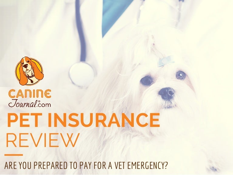 Pet Insurance Reviews