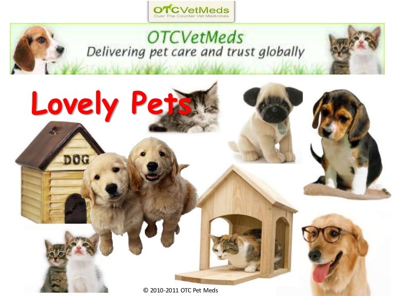 Pet meds!