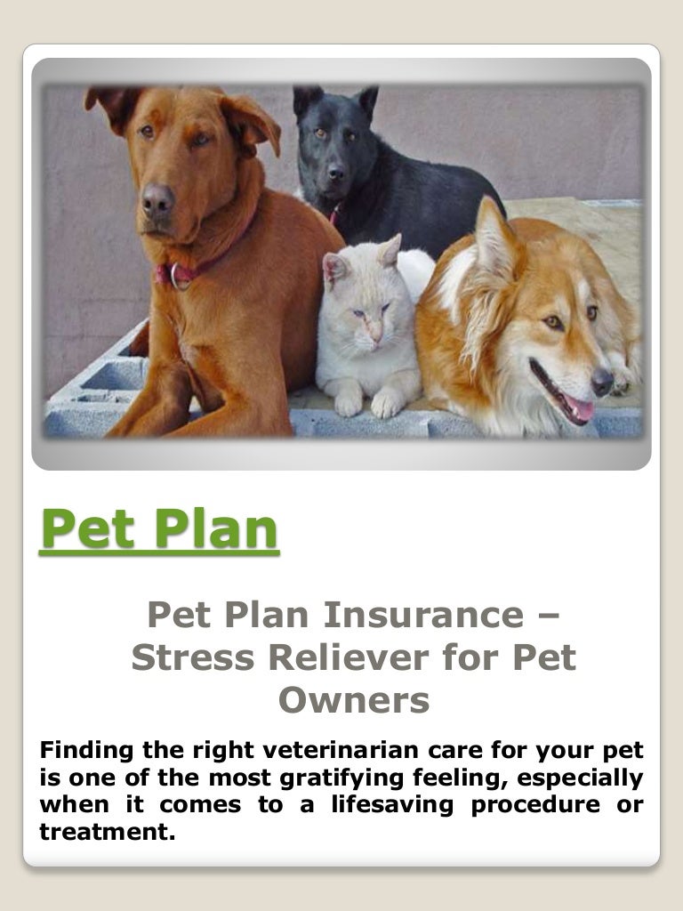 Pet Plan Insurance