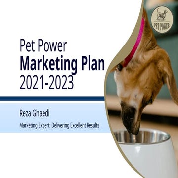 Pet Power Marketing Plan 2021-2023 - Reza Ghaedi - CMA-final-version.pptx