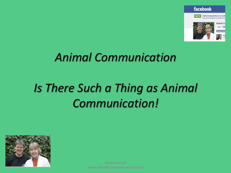 Animal Communication is it possible
