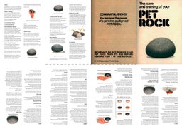 Make Your own Pet Rock part 2: The Transport-Box | PPT