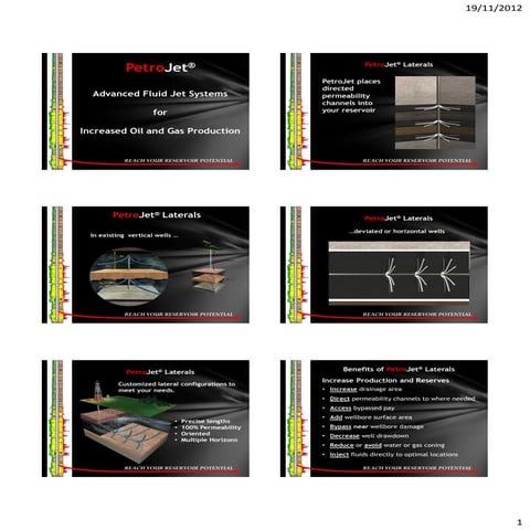 PetroJet Presentation | PDF