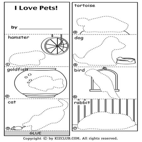 Pets1 | PDF