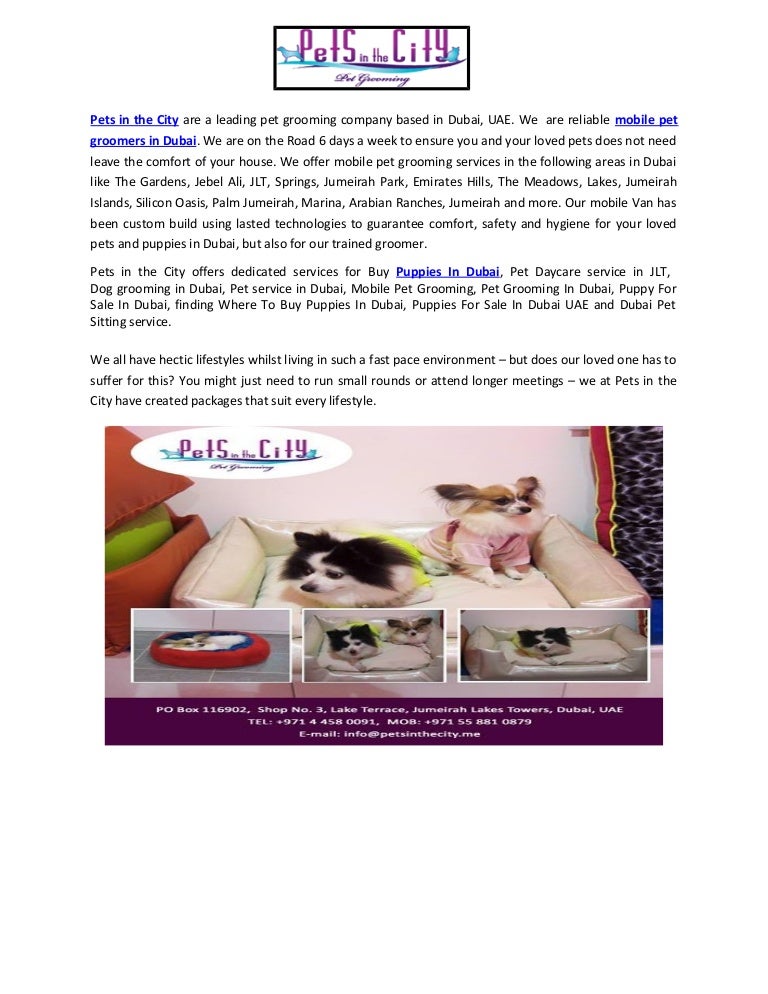 Puppies For Sale In Dubai Uae