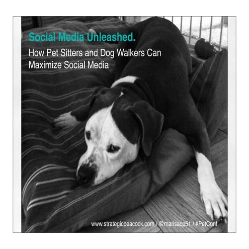 Social Media Unleashed: How Pet Sitters and Dog Walkers Can Maximize Social M...