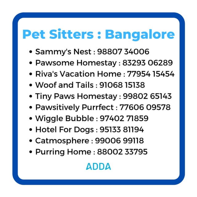 Bangalore Pet Sitters PDF