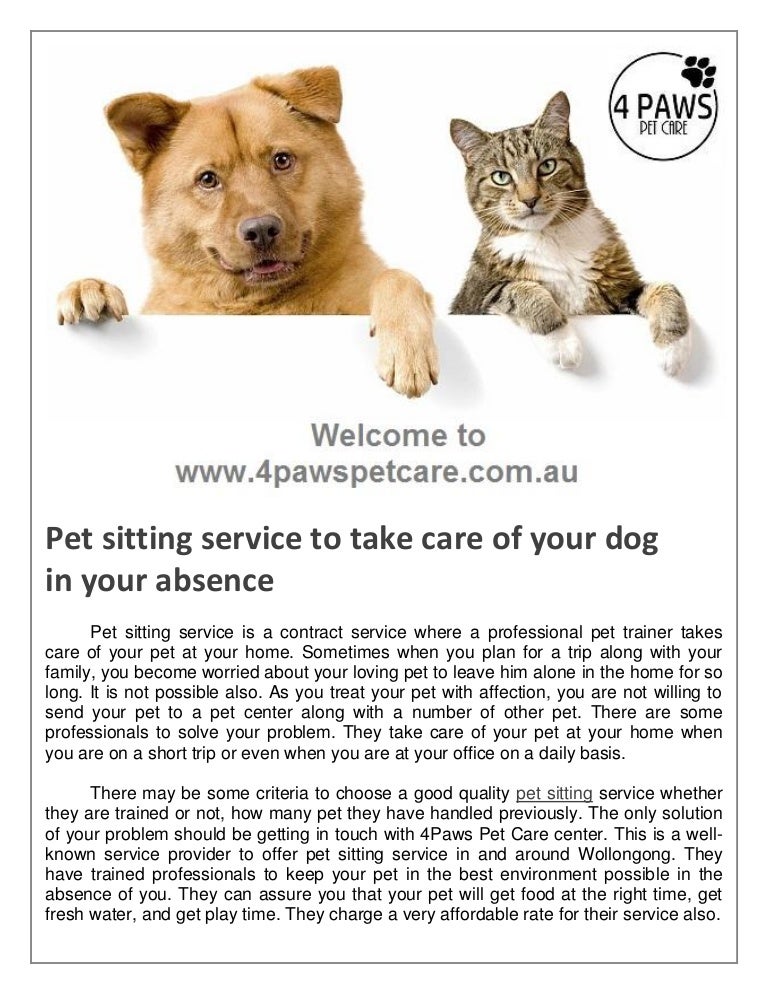 Pet sitting service to take care of your dog