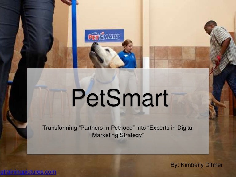 PetSmart Transforming Into Experts in Digital Marketing Strategy